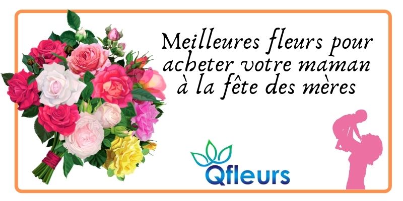 Meilleures fleurs pour acheter votre maman à la fête des mères