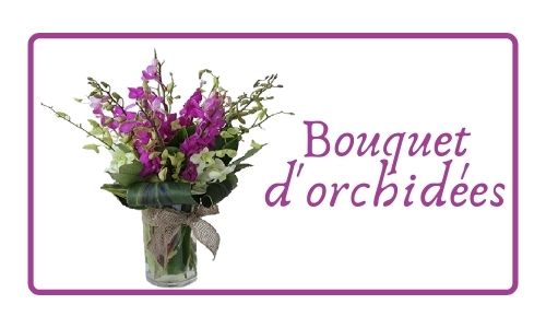 Bouquet d'orchidées