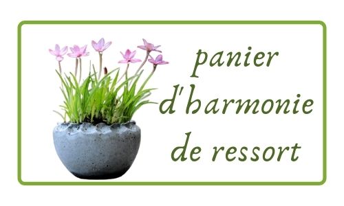 panier d'harmonie de ressort