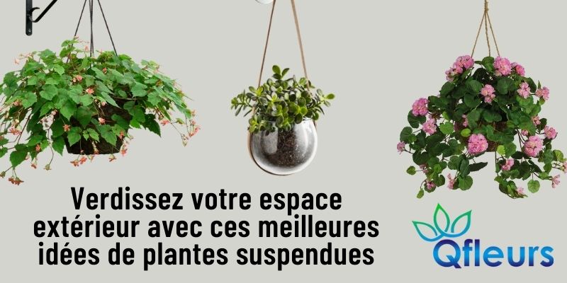 Verdissez votre espace extérieur avec ces meilleures idées de plantes suspendues