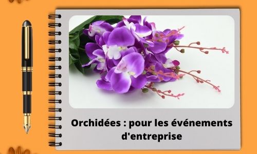  Orchid&eacute;es : pour les &eacute;v&eacute;nements d'entreprise