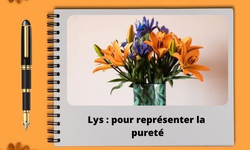 Lys : pour repr&eacute;senter la puret&eacute;