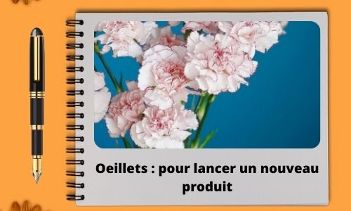  Oeillets : pour lancer un nouveau produit