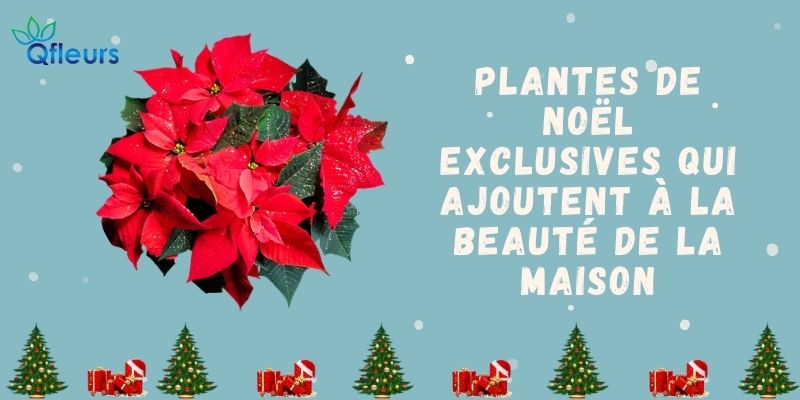 7 Cadeaux De Vin &agrave; Vos Amis En Cette Saison De No&euml;l