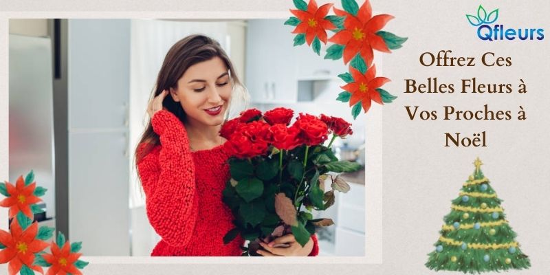 Offrez Ces Belles Fleurs à Vos Proches à Noël