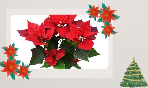 Un charmant feuillage de Noël