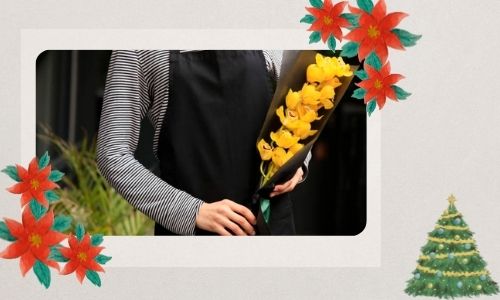 Un groupe d'orchidées vibrantes