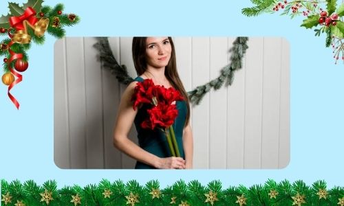 Rose de Noël