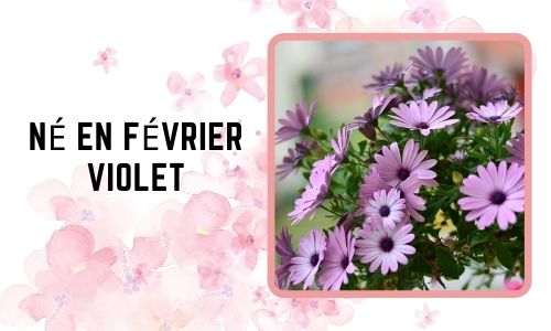Né en février: Violet