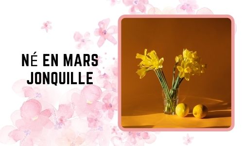 Né en mars: Jonquille