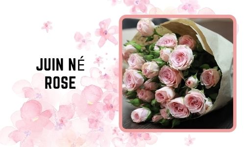 Juin né: Rose