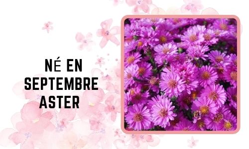 Né en septembre: Aster