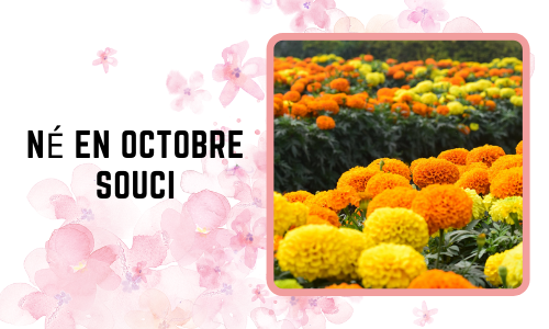  Octobre né: Marigold