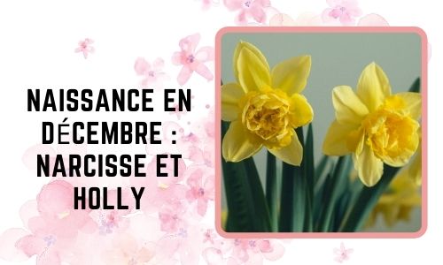 Naissance en décembre : Narcisse et Holly