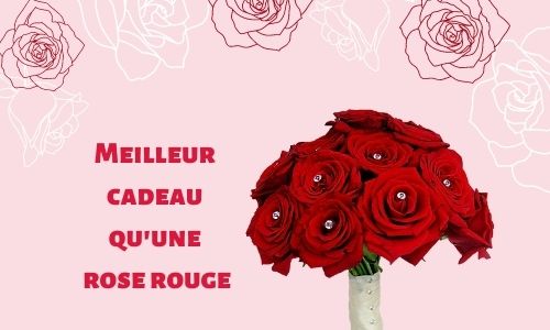 Meilleur cadeau qu'une rose rouge