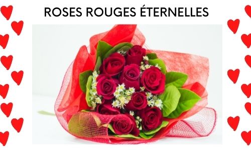 Roses rouges &eacute;ternelles