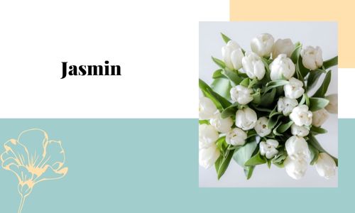 Jasmin