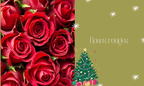 Roses rouges