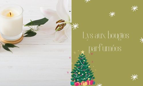 Lys aux bougies parfum&eacute;es