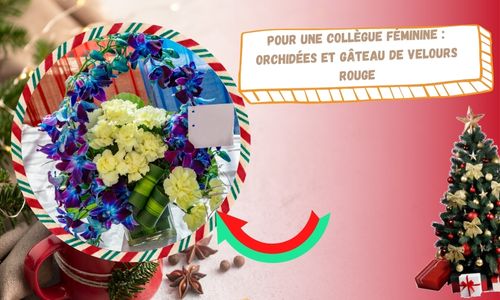 Pour une coll&egrave;gue f&eacute;minine&nbsp;: orchid&eacute;es et g&acirc;teau de velours rouge