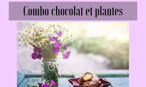 Combo chocolat et plantes