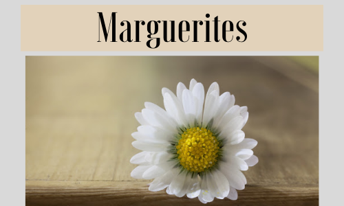 Marguerites