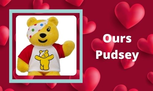 Ours Pudsey