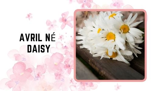 Avril né: Daisy