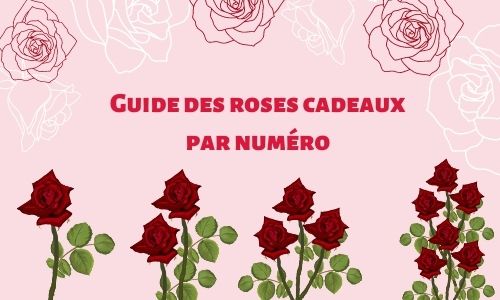 Guide des roses cadeaux par numéro