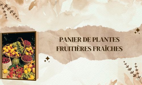Panier de plantes fruitières fraîches